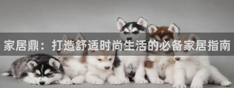 Ug环球私网一比一