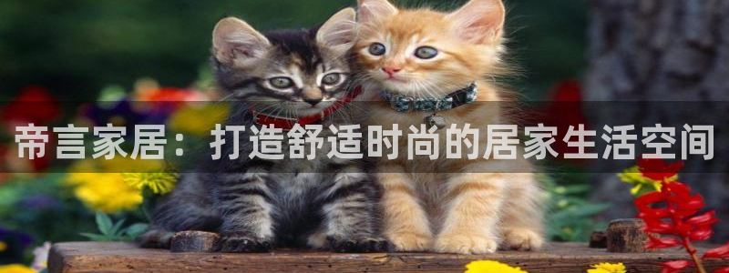 UG环球1比一