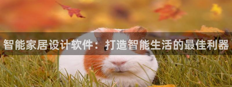 ug环球官网会员