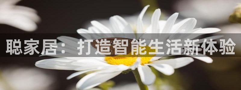 ug环球正网开户