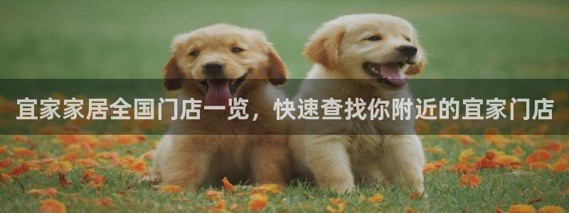 ug环球会员手机版下载