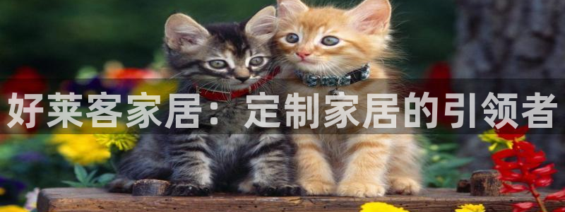 uG环球网站