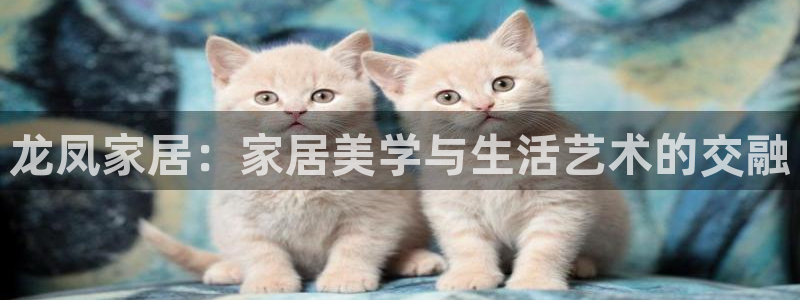 ug环球网站