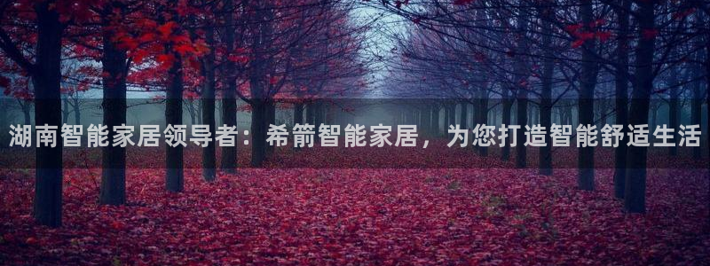 ug环球国际买分