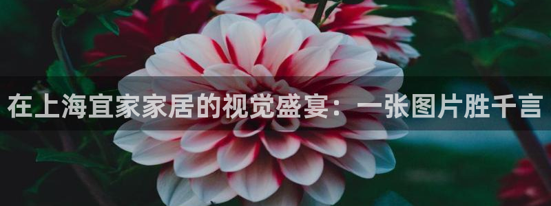 ug环球代理合作