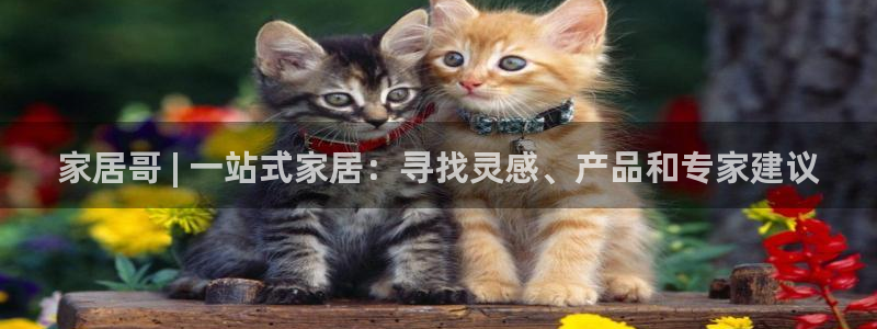 ug环球密码重置是多少位数