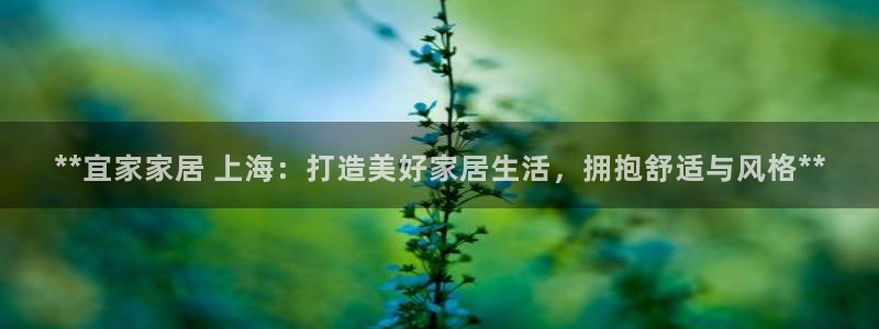 ug环球视讯官网