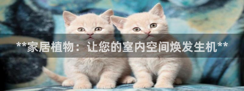 ug环球xkk908搜徽