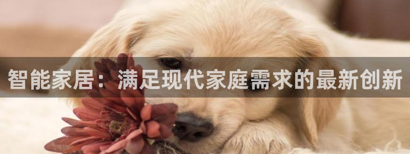 环球国际ug