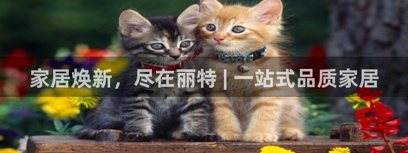 ug环球包杀网一比一