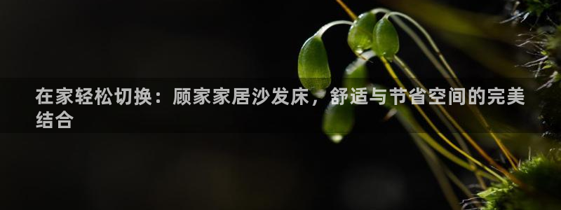 ug环球假网一比一