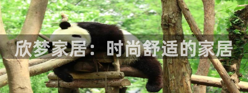 uG环球网站
