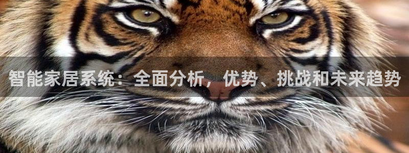 uG环球网站