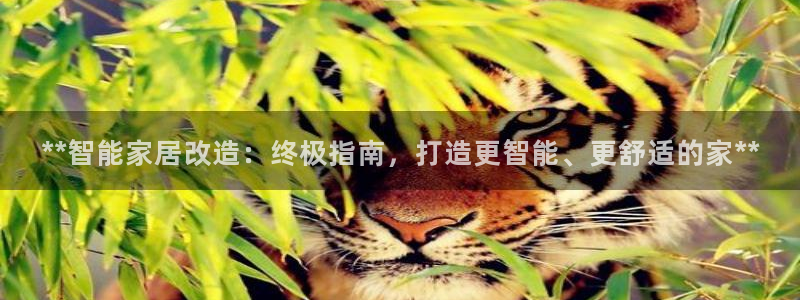 ug环球正网