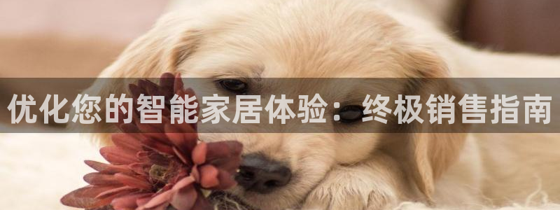 ug环球真假