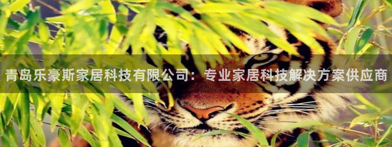 ug环球网