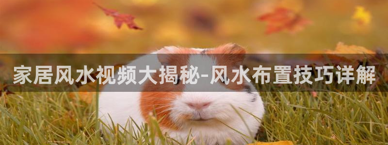 环球ug官网网址