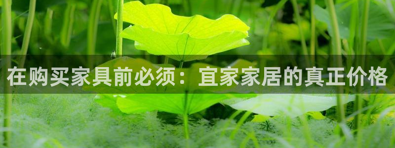 ug环球买分卖分