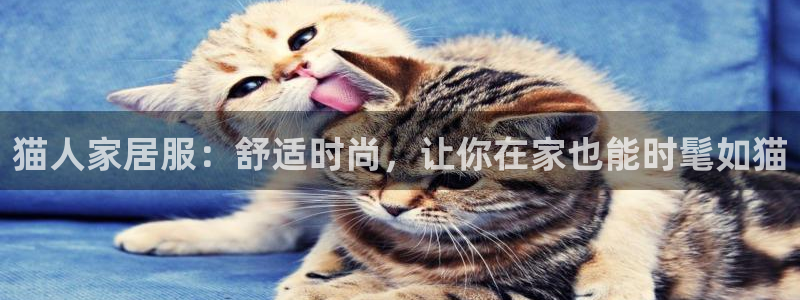 ug环球正网开户