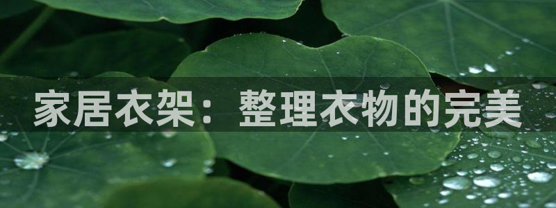 ug环球密码重置是多少位数啊