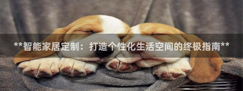 Ug环球网网址