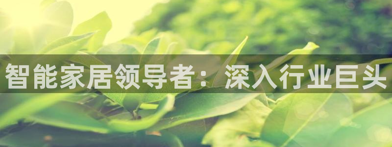 ug环球正网包杀