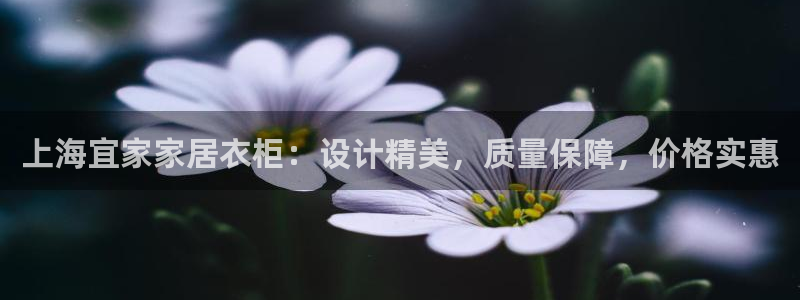 ug环球正网