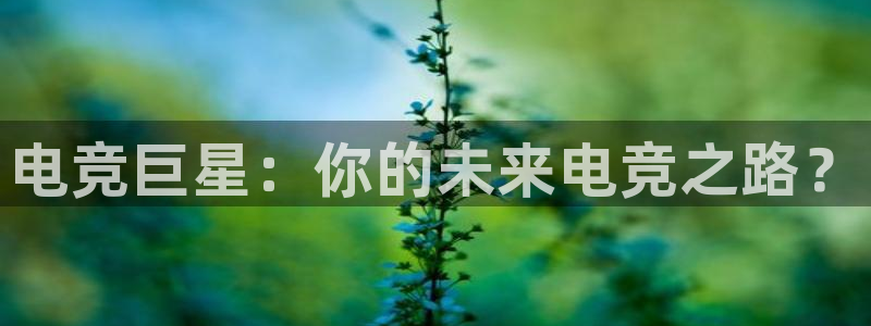 南宫电竞
