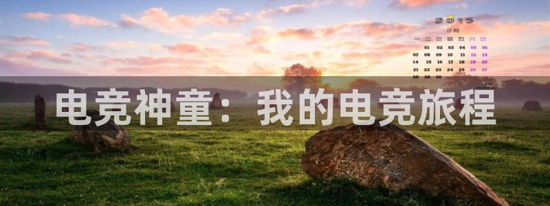 南宫电竞贴吧
