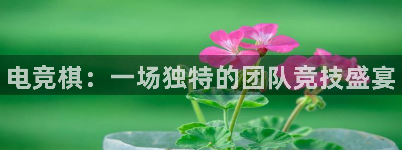 南宫电竞官网