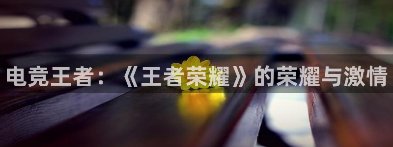 南宫电竞登陆